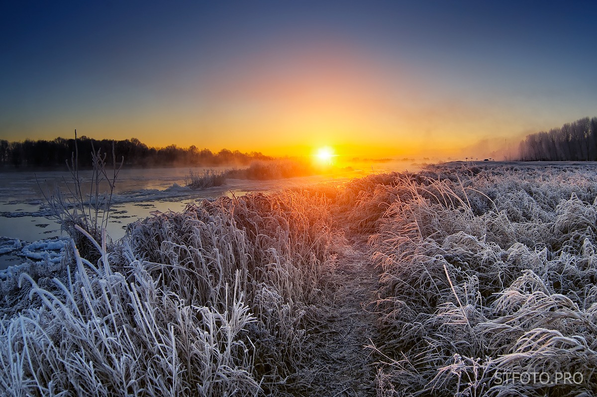 Морозным зимним утром | Фотограф Стас Аврамчик | foto.by фото.бай
