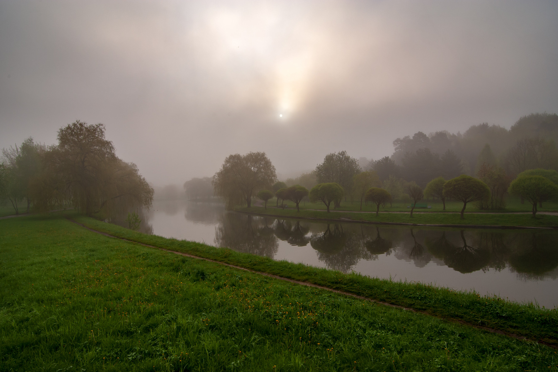 туман | Фотограф василий некрашевич | foto.by фото.бай