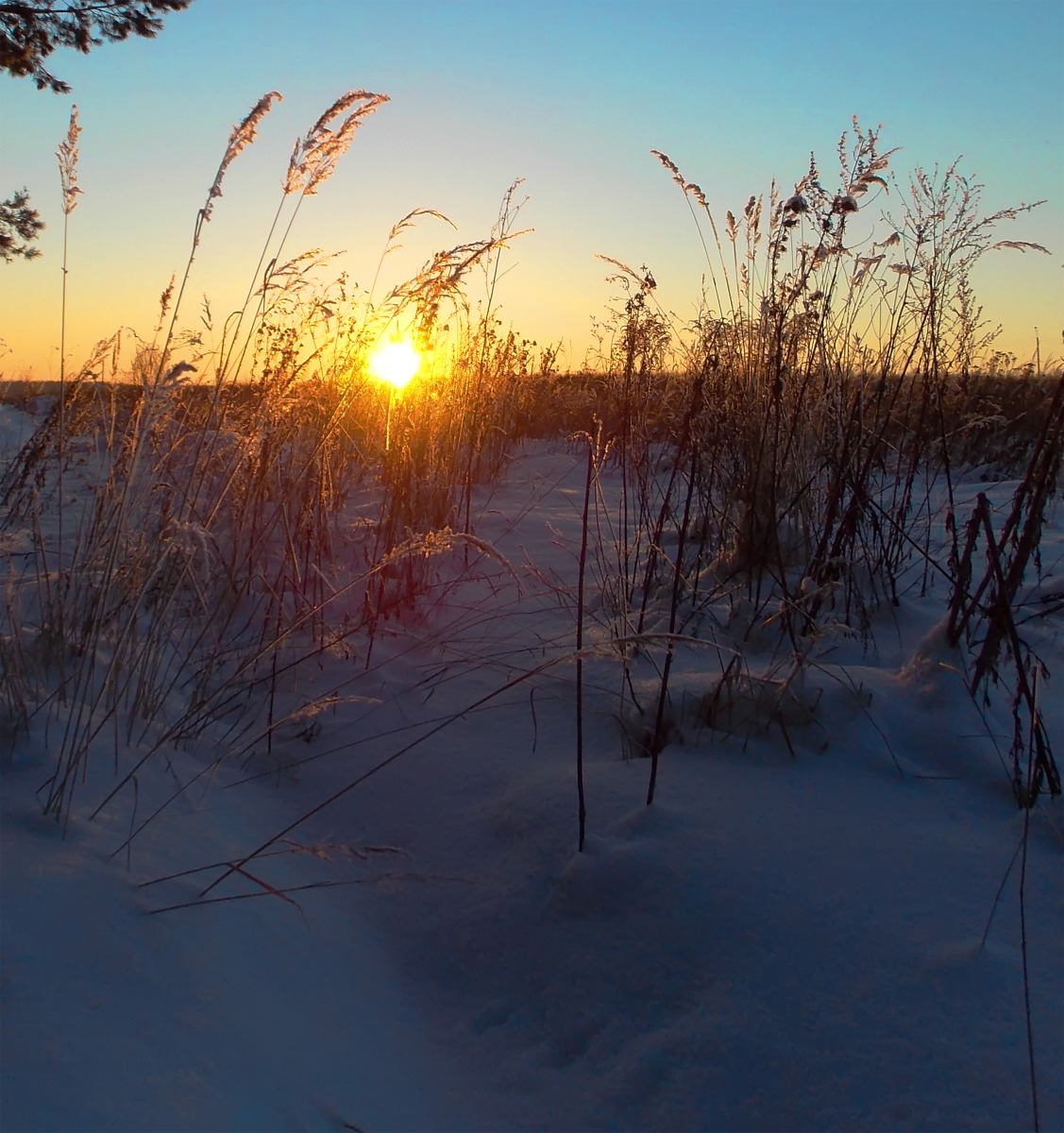 Зимний закат | Фотограф Алексей Жариков | foto.by фото.бай