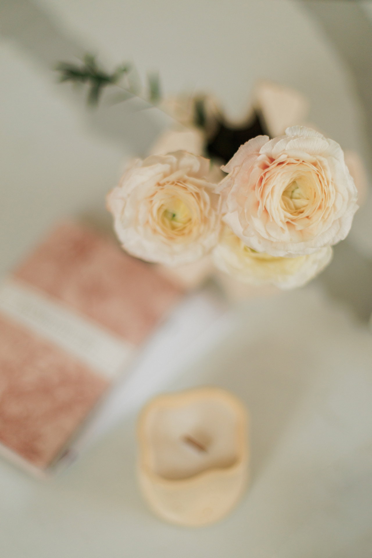 Фотограф Михаил и Елизавета Лукашевич, фотография от 26.02.2026