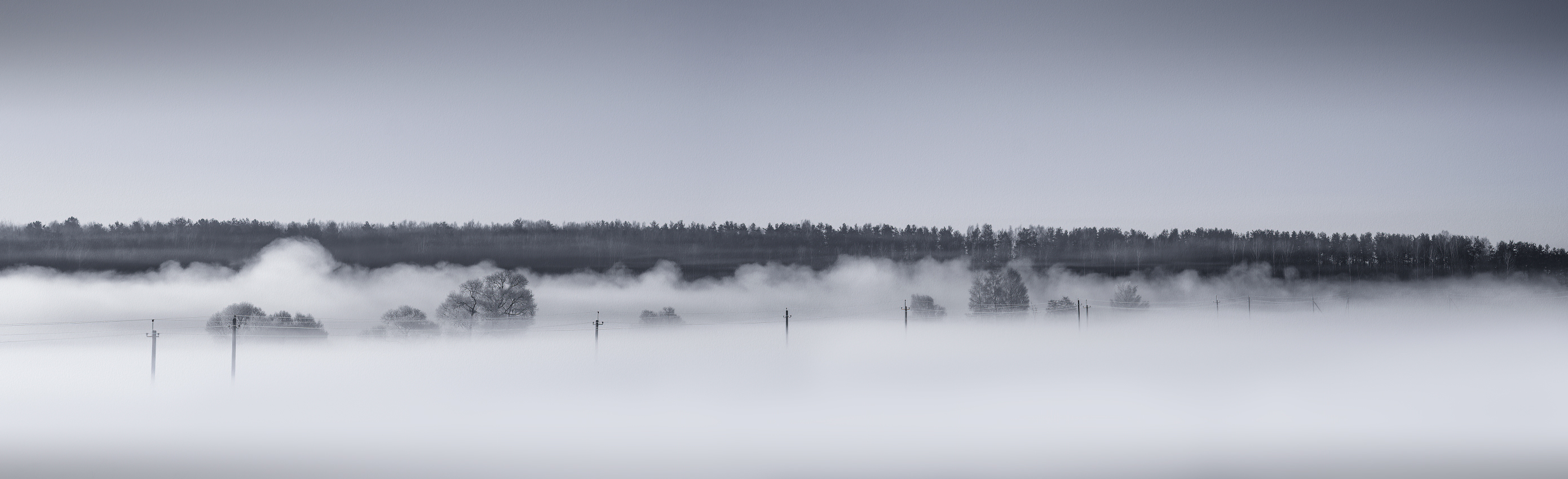 Панорама зимнего тумана | Фотограф Сергей Шабуневич | foto.by фото.бай