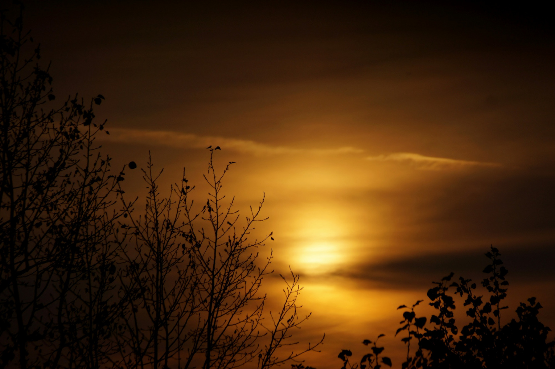 восход на горизонте | Фотограф Юрий Жданкин | foto.by фото.бай