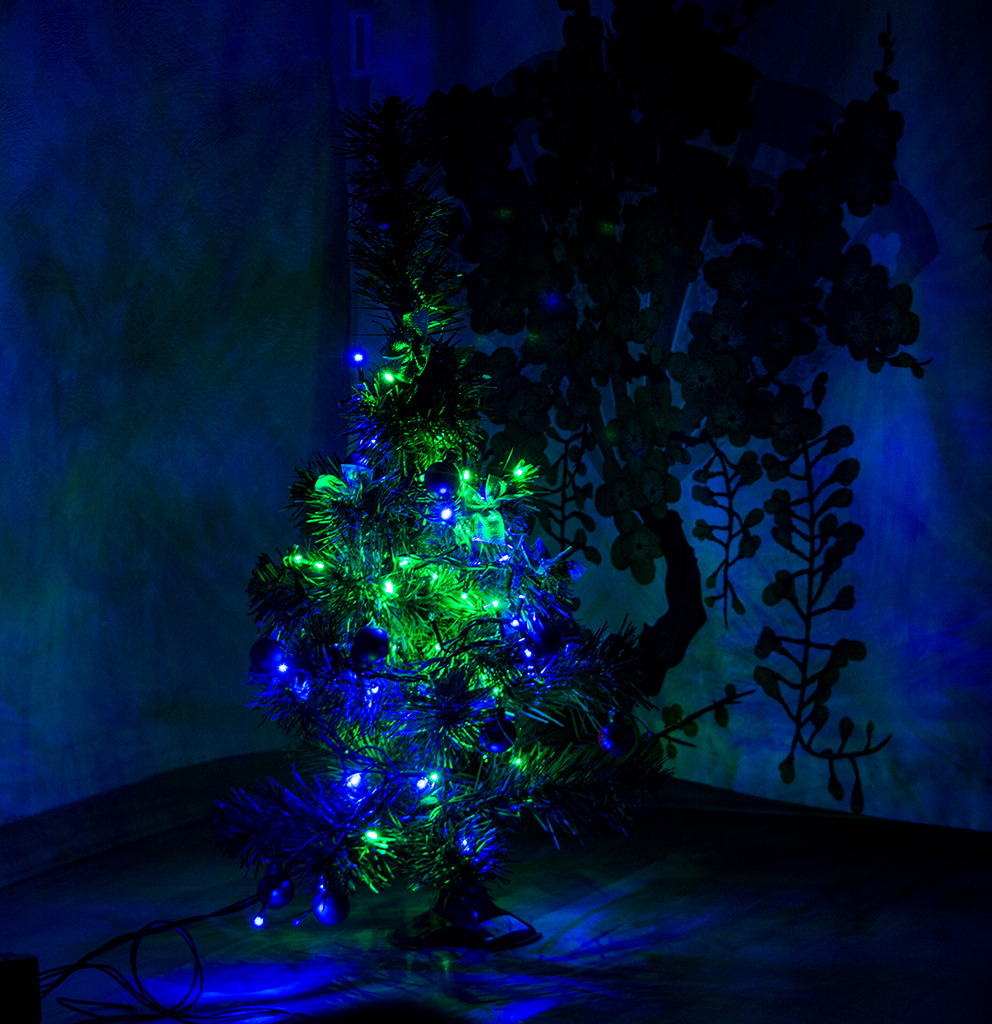 *** | foto.by фото.бай