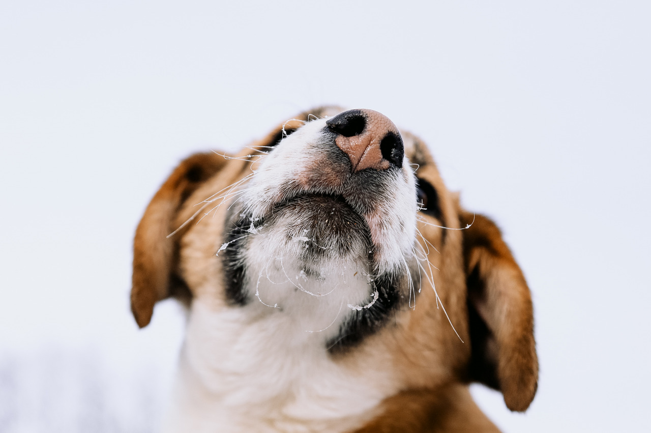 Фотограф в Минске - семейный, свадебный, репортажный фотограф. Фотосъёмка крещения, дня рождения, юбилея, венчания, корпоратива в Минске., фотография от 18.02.2026