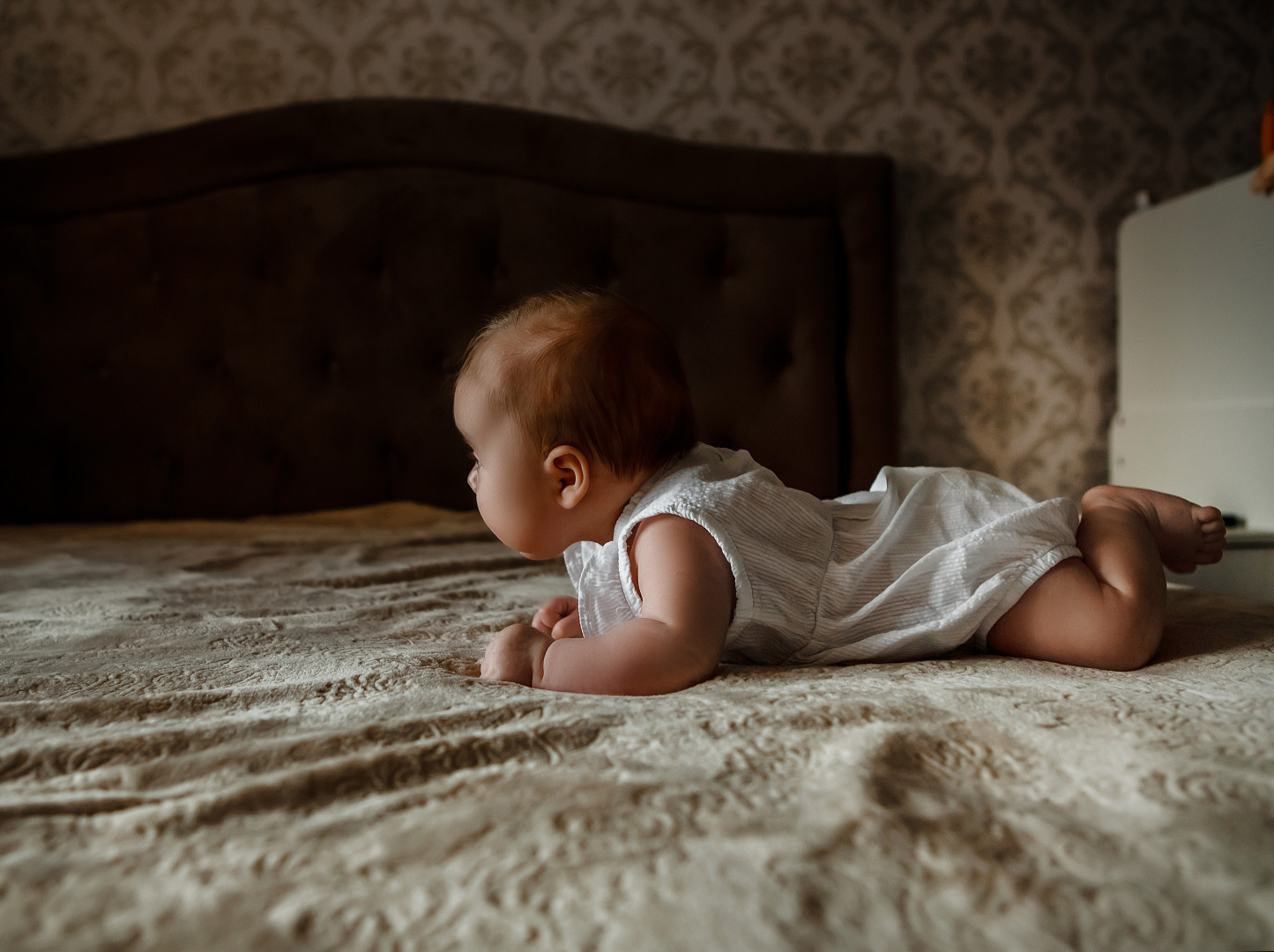 Фотограф Анастасия Лагуновская, фотография от 04.12.2025