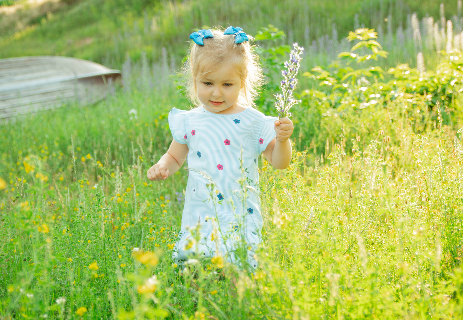 Фотограф Анастасия Зайцева, фотография от 21.07.2020