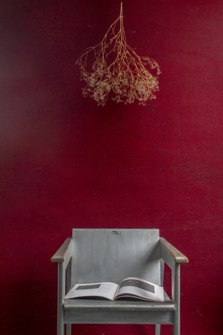 Фотограф Павел Есипенко, фотография от 02.01.2026