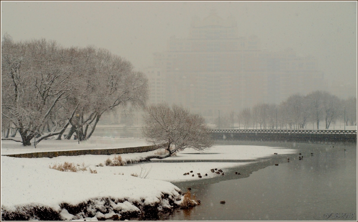 а снег идет | Фотограф Игорь Сафонов | foto.by фото.бай