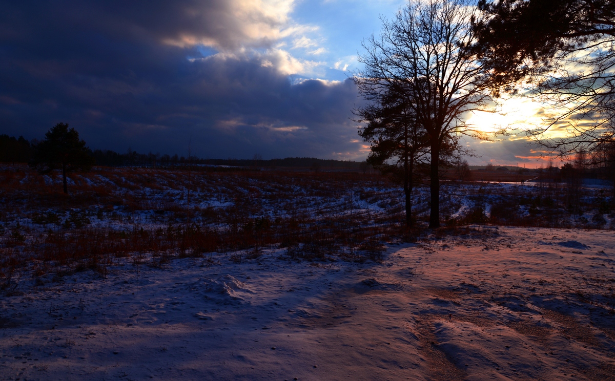 Зимний закат | Фотограф Вячеслав Побединский | foto.by фото.бай