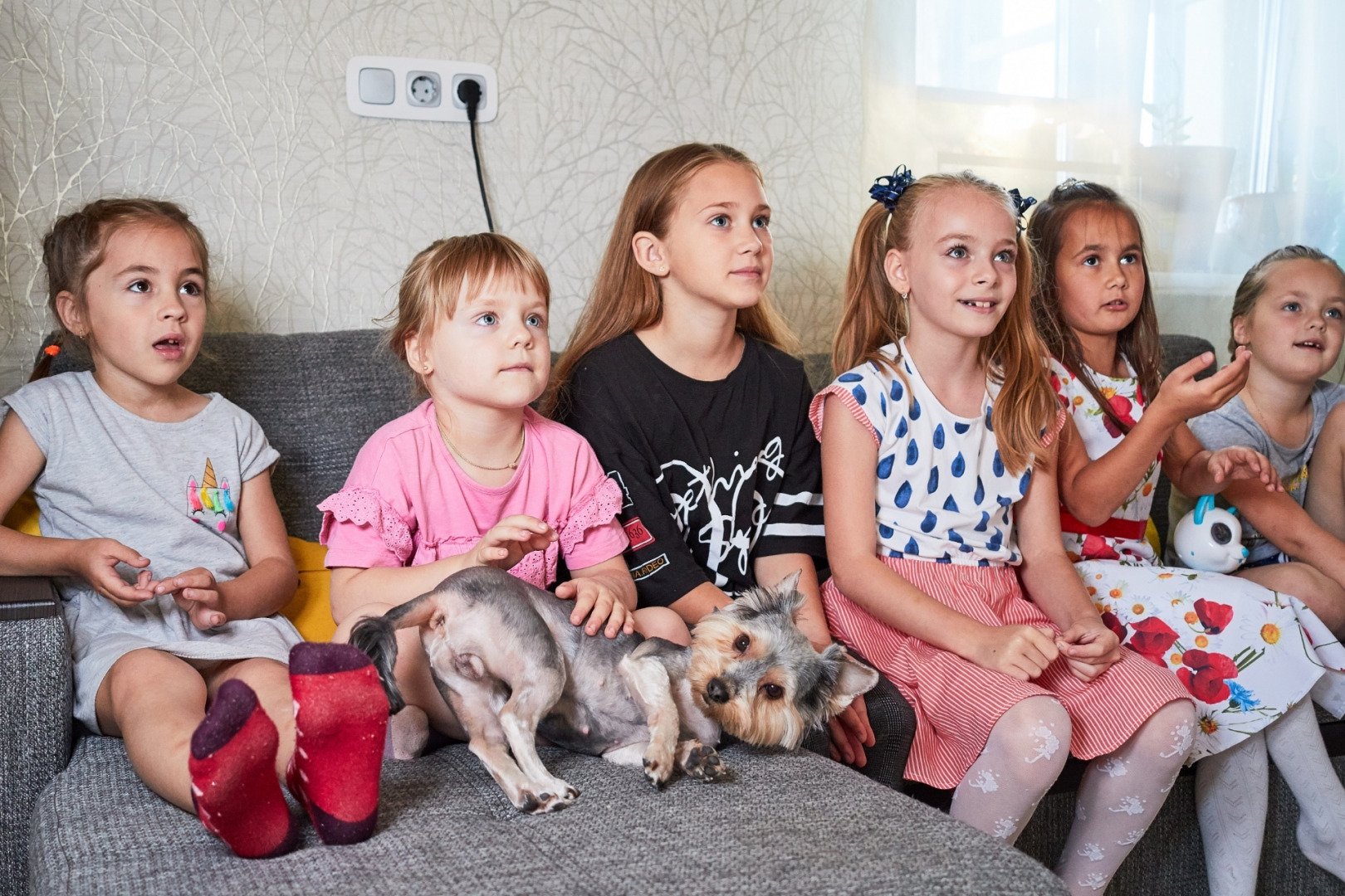 Свадебный, свадебный фотограф, портретный, портретный фотограф, семейный, семейный фотограф, лав стори, рекламный, рекламный фотограф, Илья и Юлия Ширмановы, Минск, Беларусь, фотография от 29.09.2020