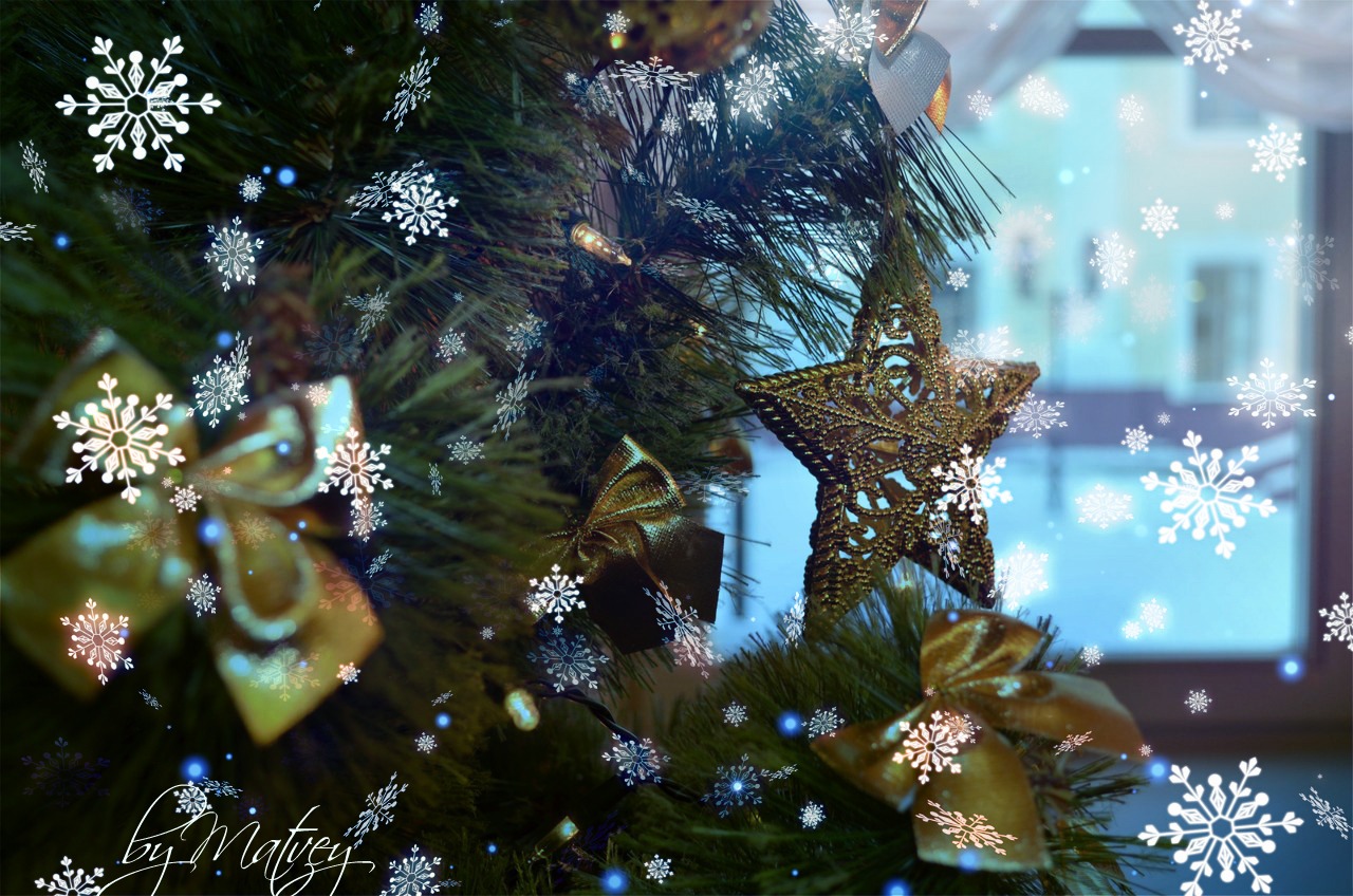 Новогоднее настроение. | Фотограф Матвей Черноштан | foto.by фото.бай