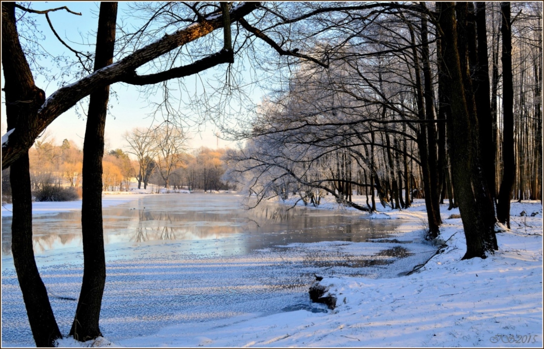 зимой | Фотограф Игорь Сафонов | foto.by фото.бай