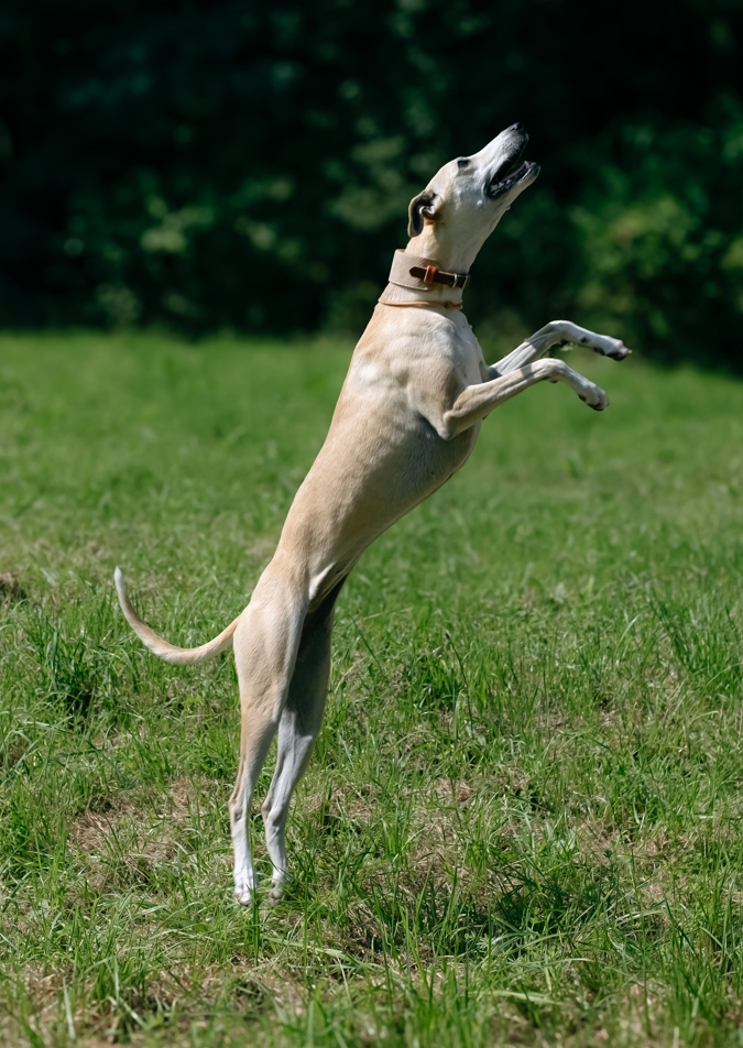 Фотограф Мария Войтик, фотография от 24.12.2025