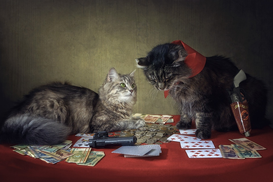 Карты, деньги, два ствола | Фотограф Ирина Приходько | foto.by фото.бай