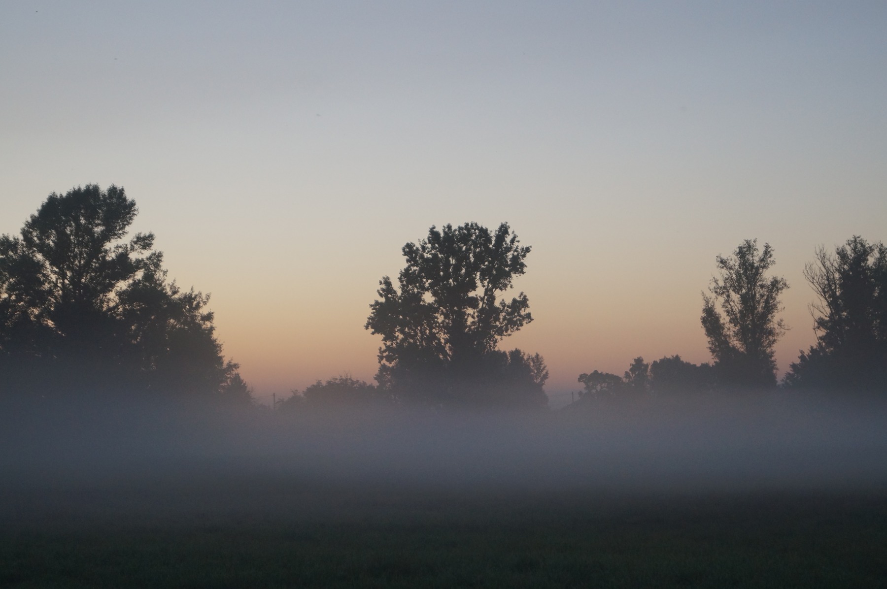 Туман. Вечер | Фотограф Евгений Воронюк | foto.by фото.бай