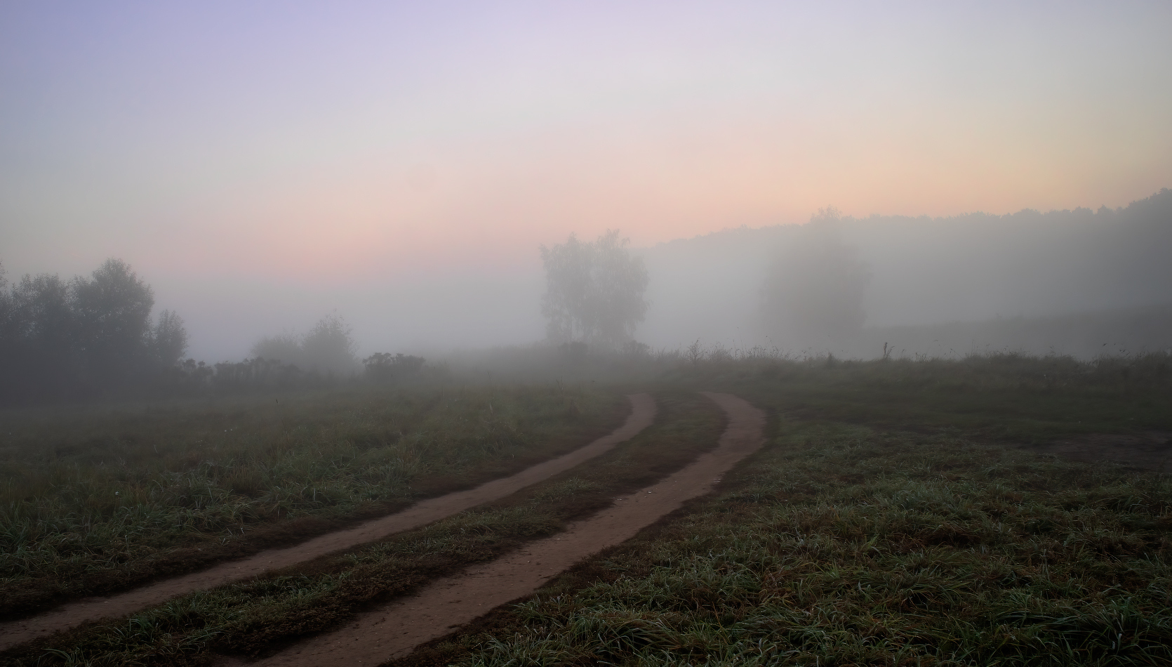 Дорога к реке | Фотограф Сергей Шабуневич | foto.by фото.бай