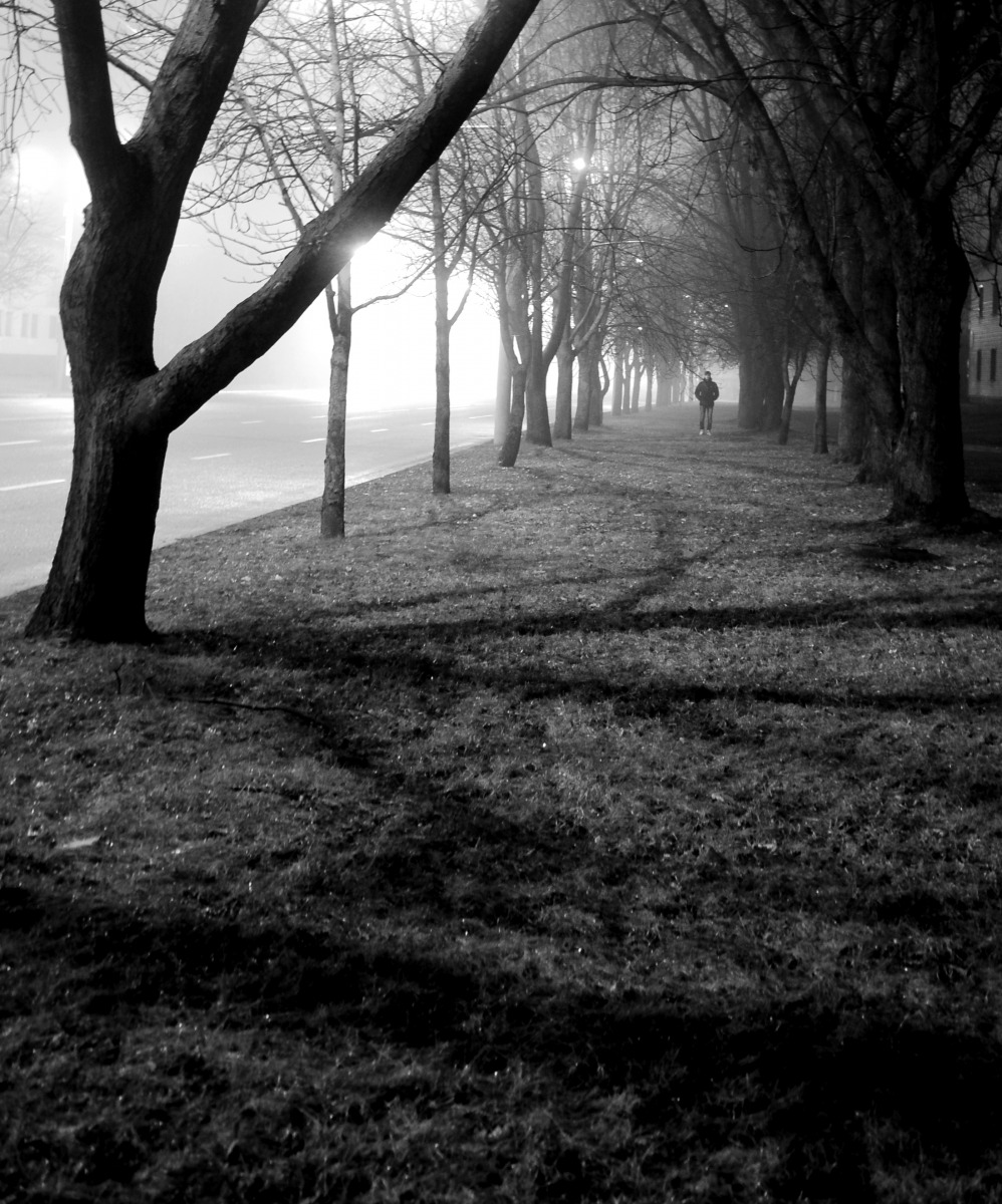 В тумане | Фотограф Иван Виткоин | foto.by фото.бай