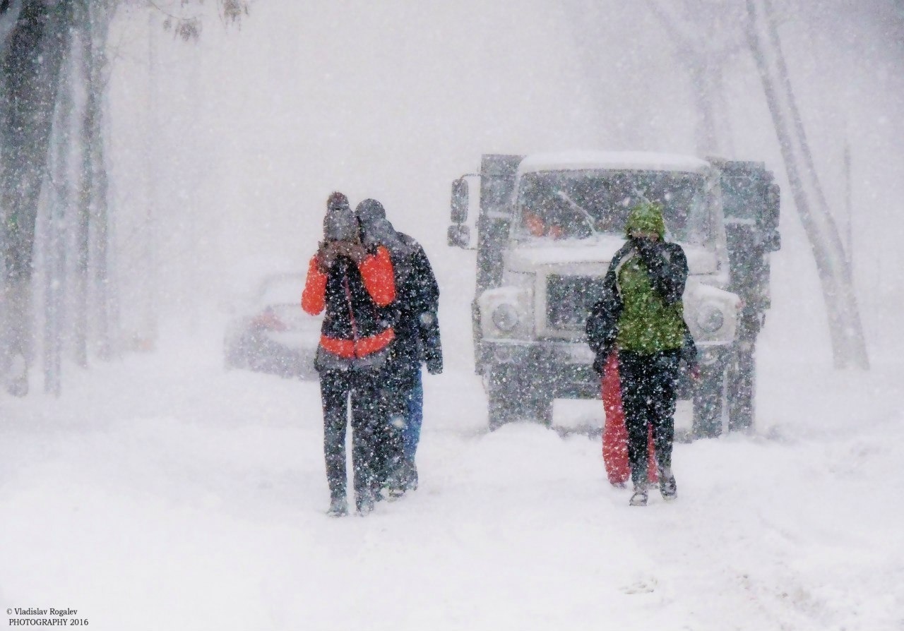 снежный шторм | Фотограф Владислав Рогалев | foto.by фото.бай