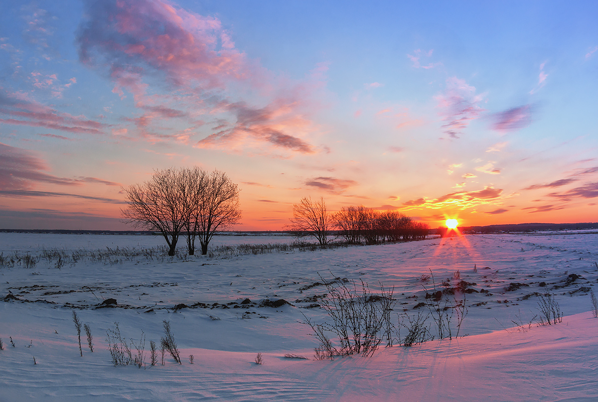 мороз и солнце | Фотограф Виталий Шаливский | foto.by фото.бай