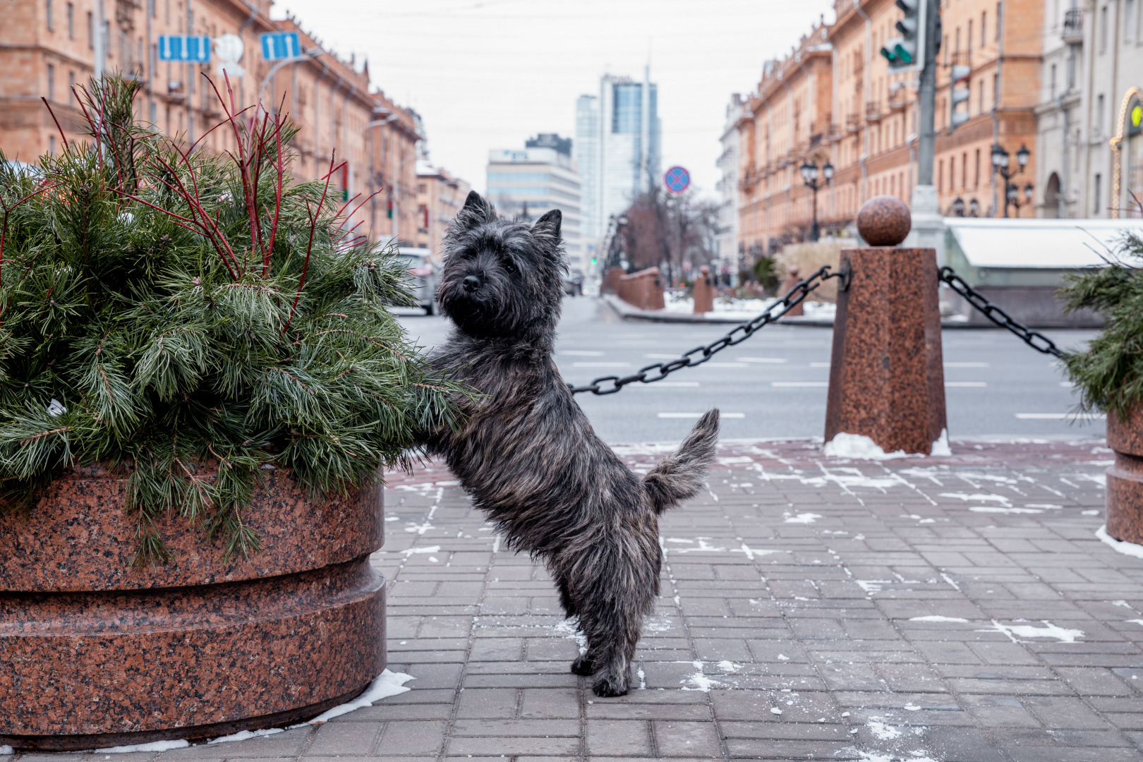 Фотограф Екатерина Рябченко - семейный, детский, свадебный, школьный фотограф в городе Минск, фотография от 22.01.2025