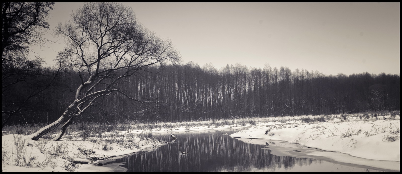 Зимний пейзаж | Фотограф Victor Obuhov | foto.by фото.бай