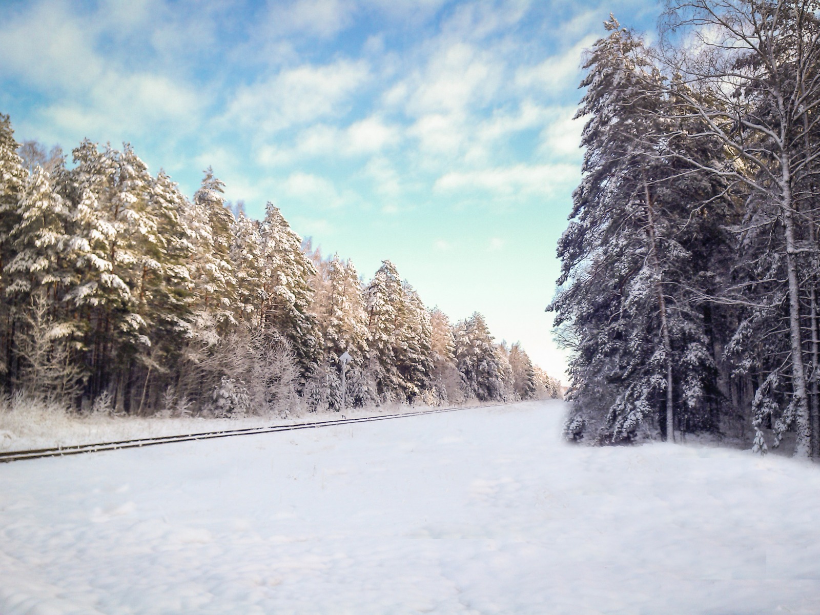 Первый снег | Фотограф Виктор Карпов | foto.by фото.бай