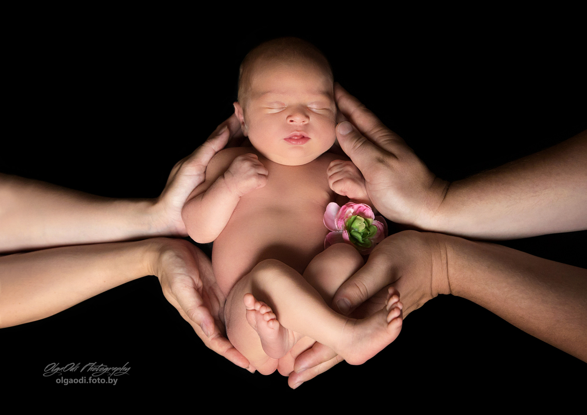 Фотограф новорожденных в городе Минске,  детский и семейный фотограф  Ольга Одинцова, фотография от 22.10.2023
