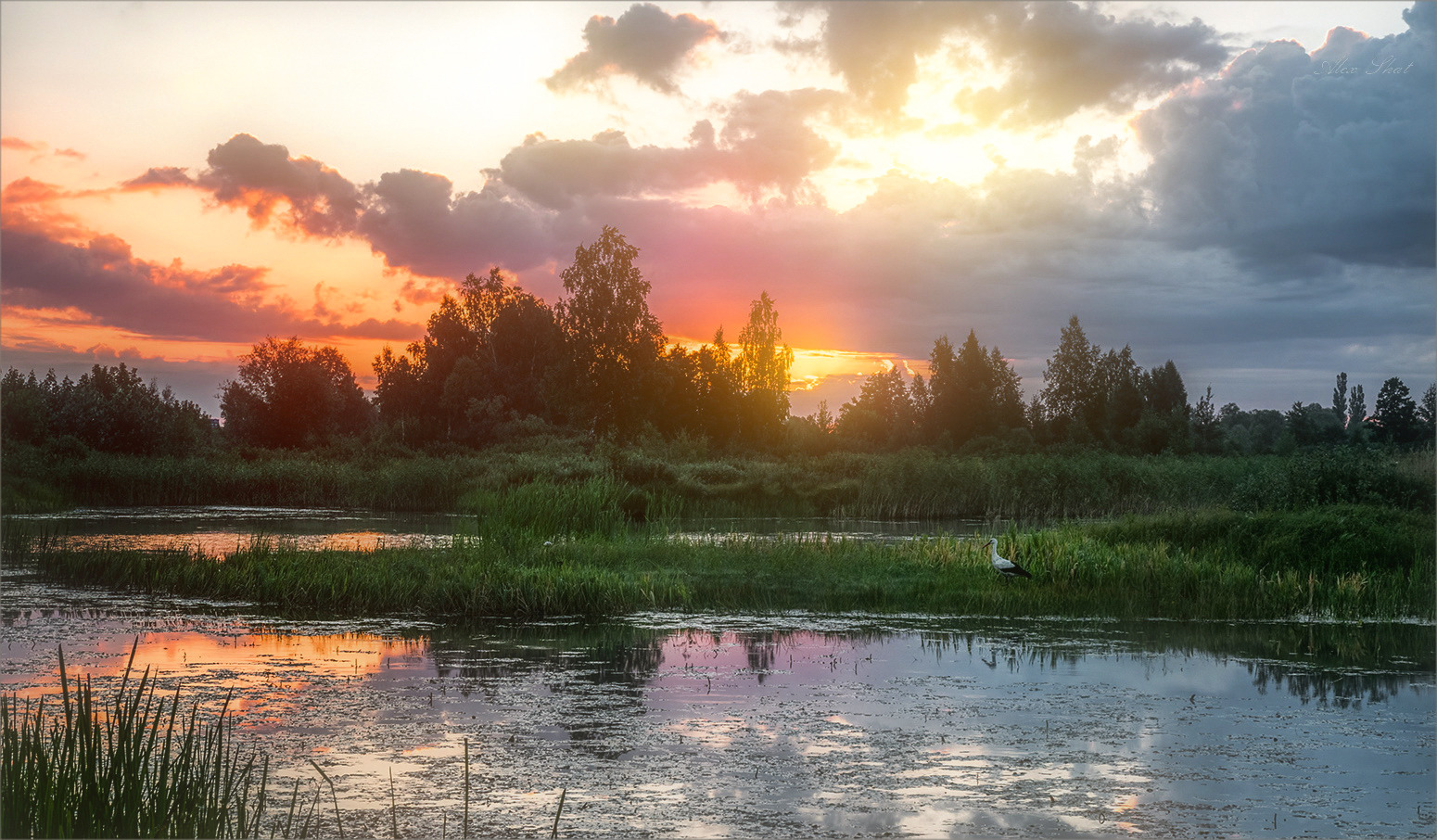 Малые реки Полесья | Фотограф Александр Шатохин | foto.by фото.бай