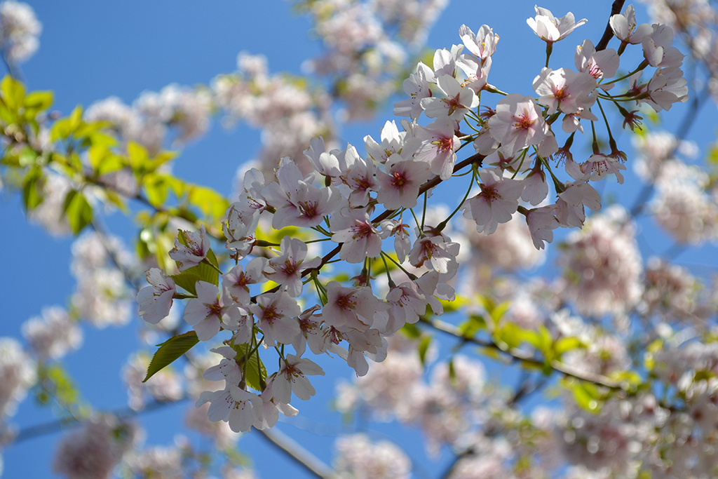 Скоро, уже скоро | foto.by фото.бай