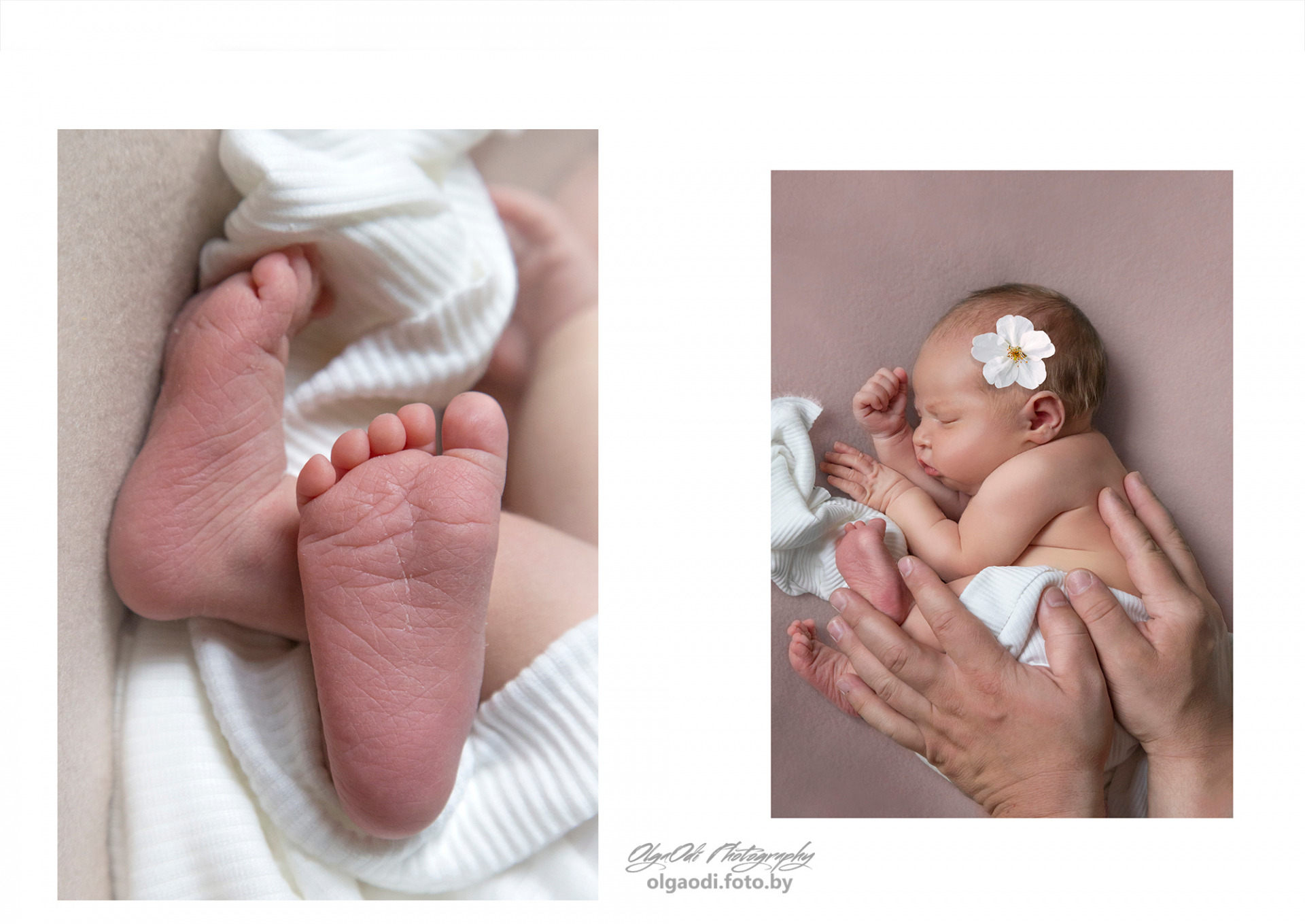 Фотограф новорожденных в городе Минске,  детский и семейный фотограф  Ольга Одинцова, фотография от 21.10.2023