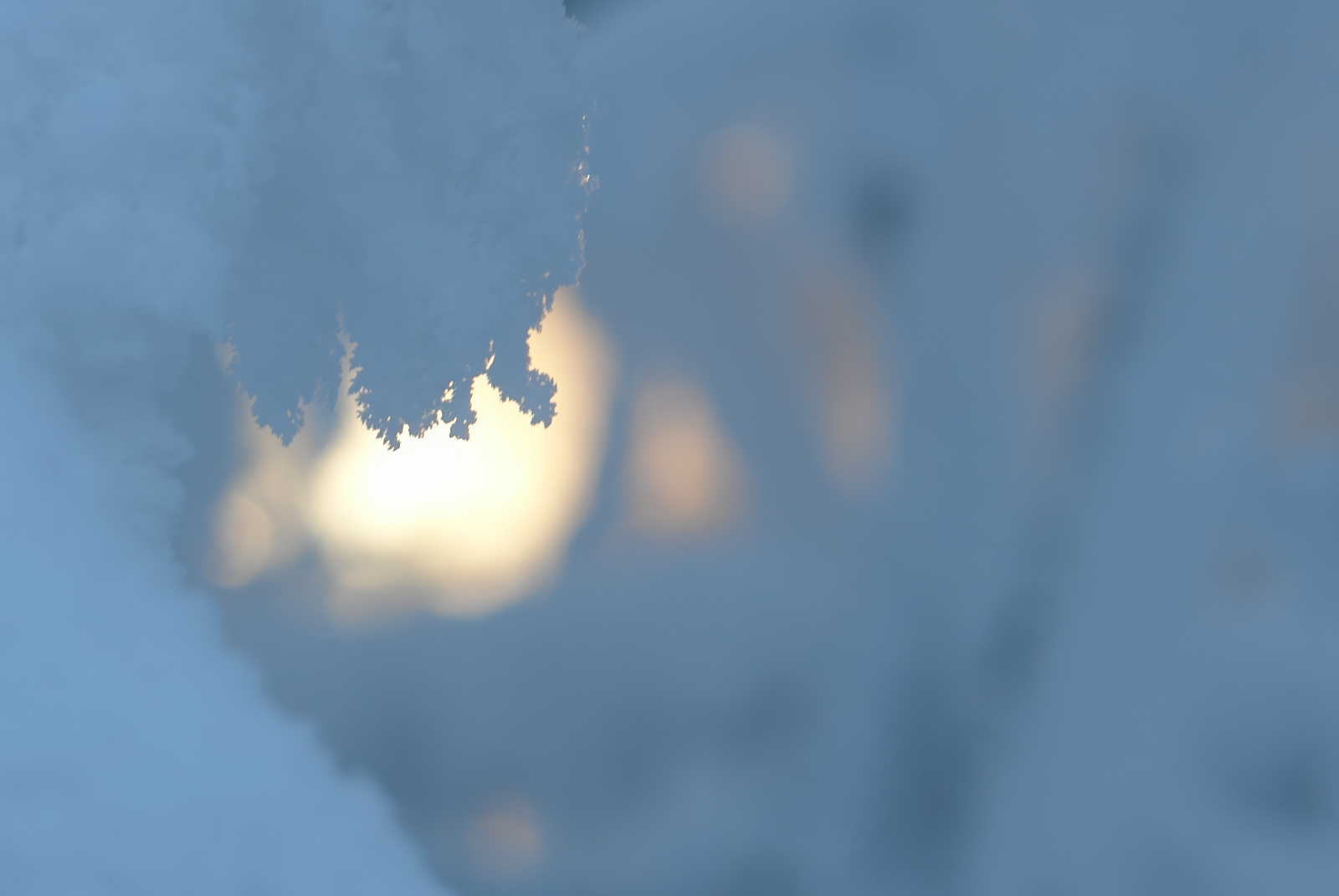 Зимние узоры | foto.by фото.бай