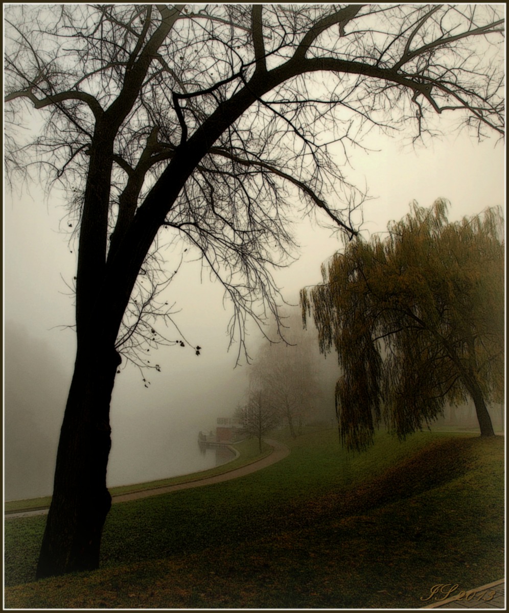 в парке туман | Фотограф Игорь Сафонов | foto.by фото.бай