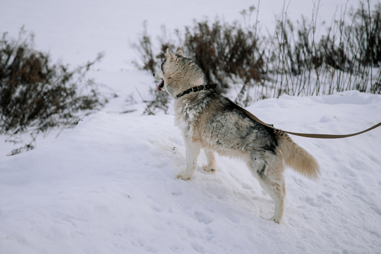 Фотограф в Минске - семейный, свадебный, репортажный фотограф. Фотосъёмка крещения, дня рождения, юбилея, венчания, корпоратива в Минске., фотография от 18.02.2026