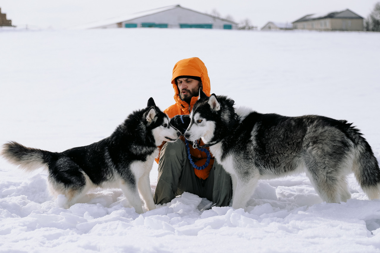 Фотограф в Минске - семейный, свадебный, репортажный фотограф. Фотосъёмка крещения, дня рождения, юбилея, венчания, корпоратива в Минске., фотография от 18.02.2026