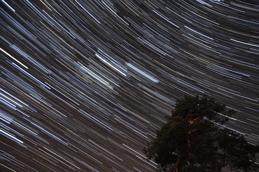 Сосна и звезды | Фотограф Харланов Никита | foto.by фото.бай