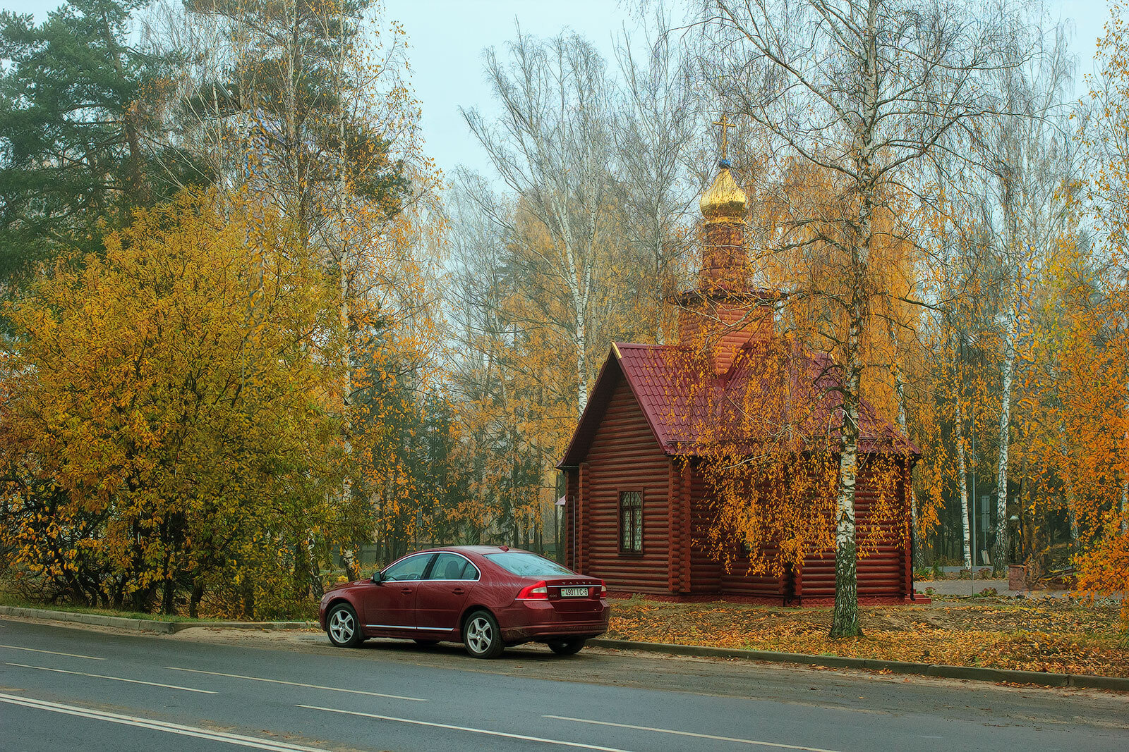 Под цвет галстука | foto.by фото.бай