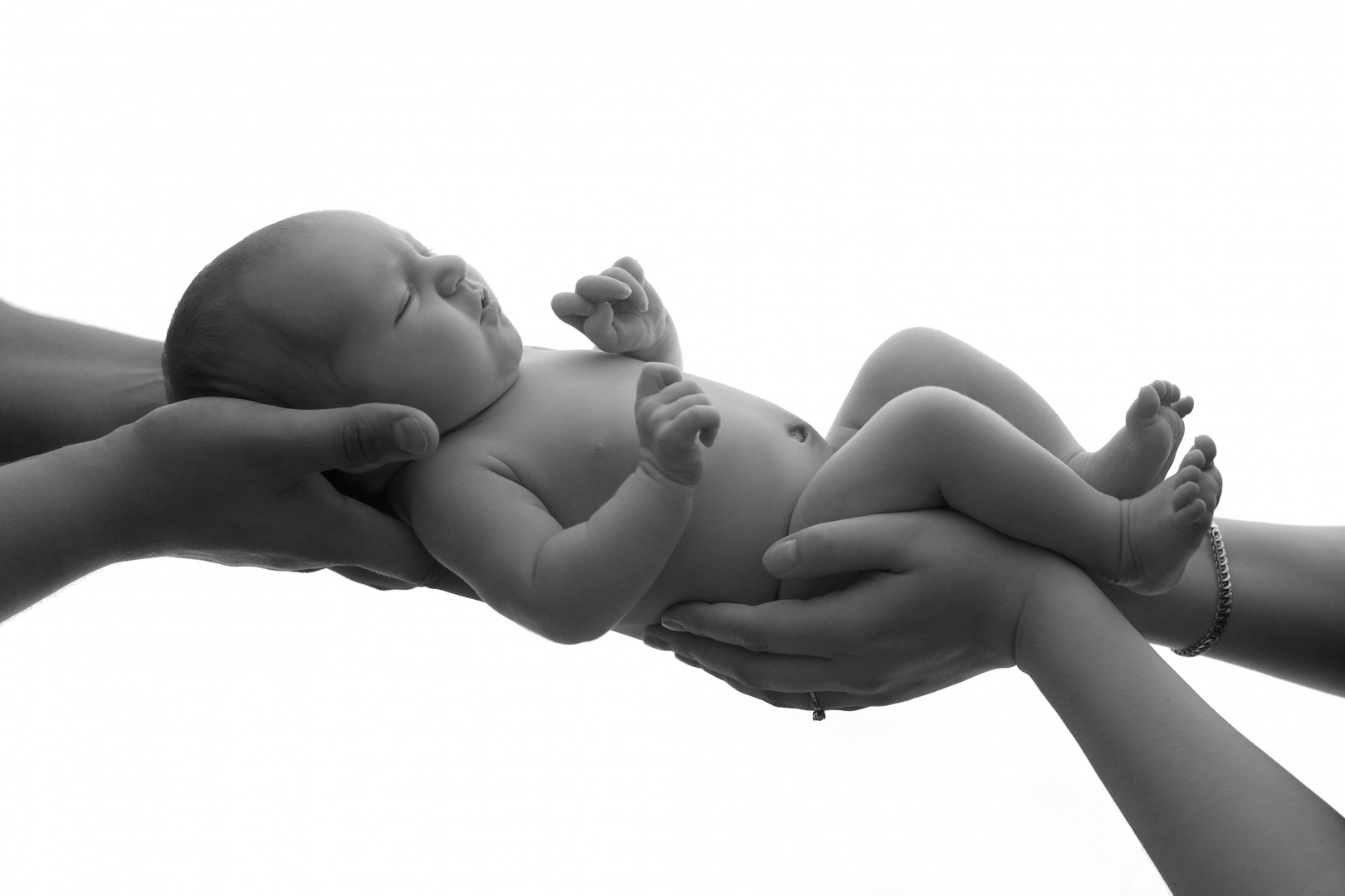 Фотограф Ольга Хиневич, фотография от 25.02.2026