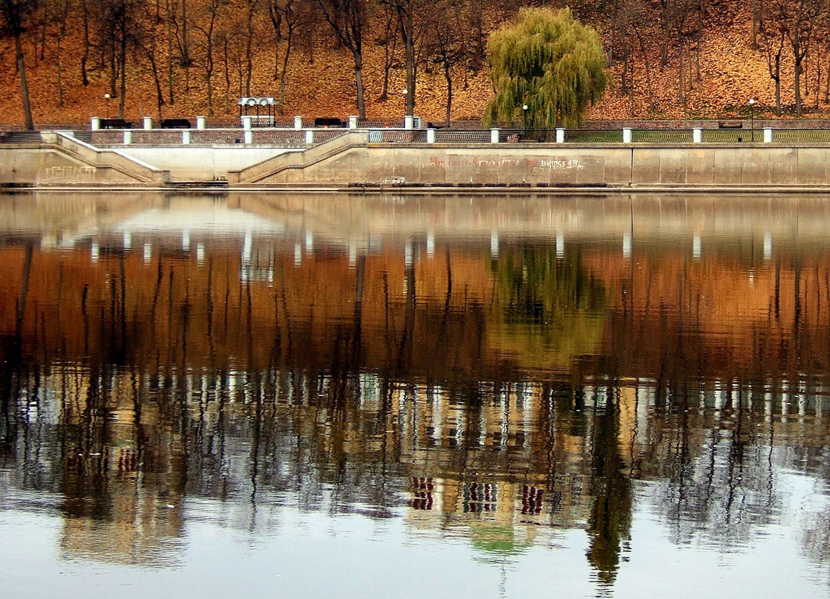 Рыжая осень | Фотограф Виктор Позняков | foto.by фото.бай
