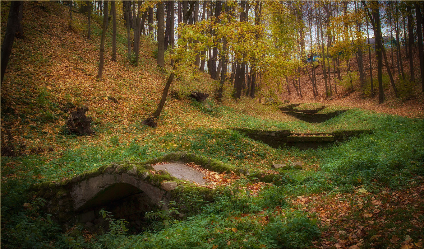 В старом парке Тышкевичей | Фотограф Александр Войтко | foto.by фото.бай