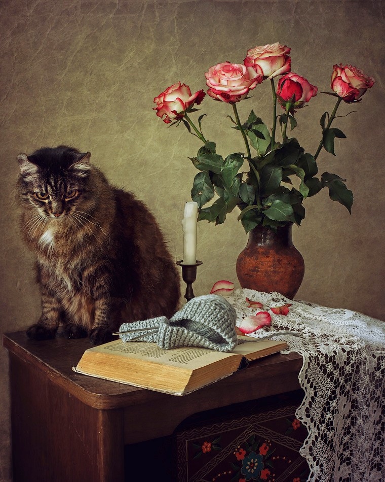 Кот ученый | Фотограф Ирина Приходько | foto.by фото.бай