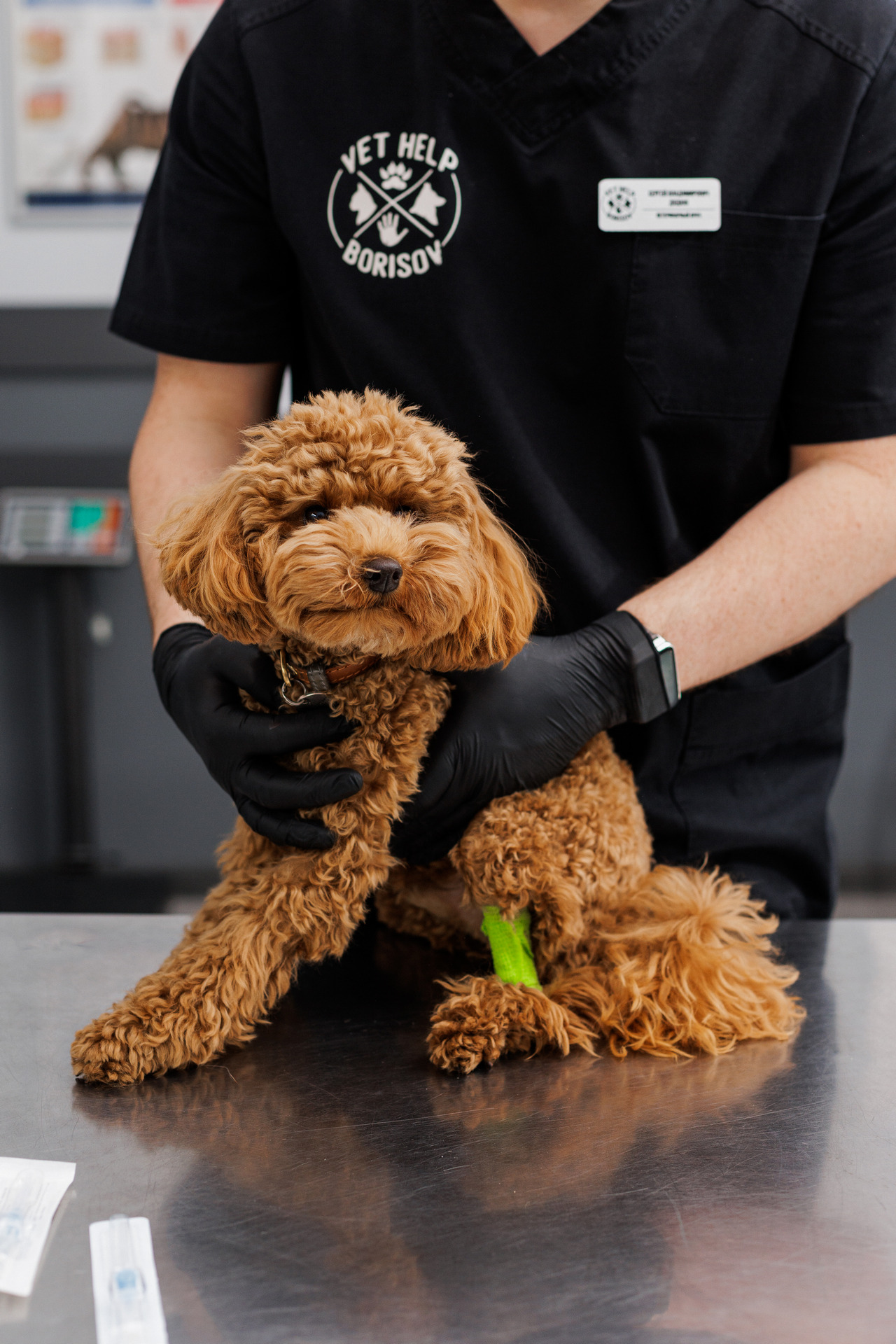 Фотограф Михаил и Елизавета Лукашевич, фотография от 16.01.2026