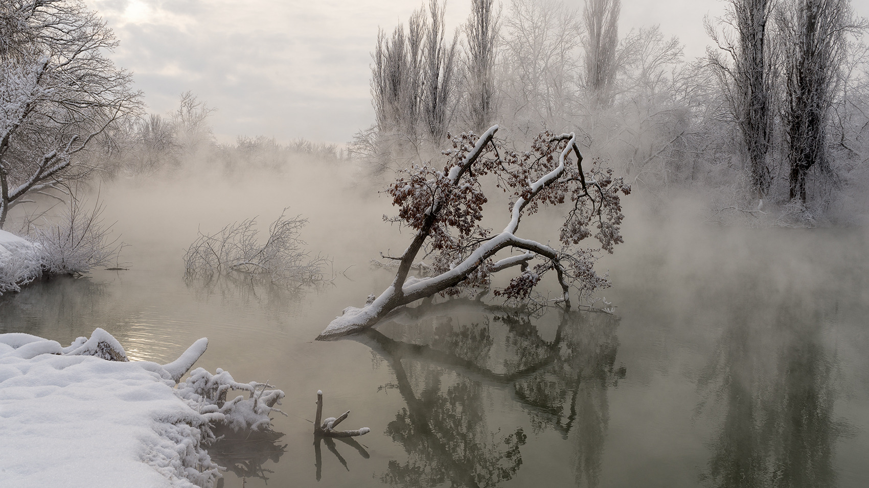 Туман над водой | Фотограф Александр Плеханов | foto.by фото.бай