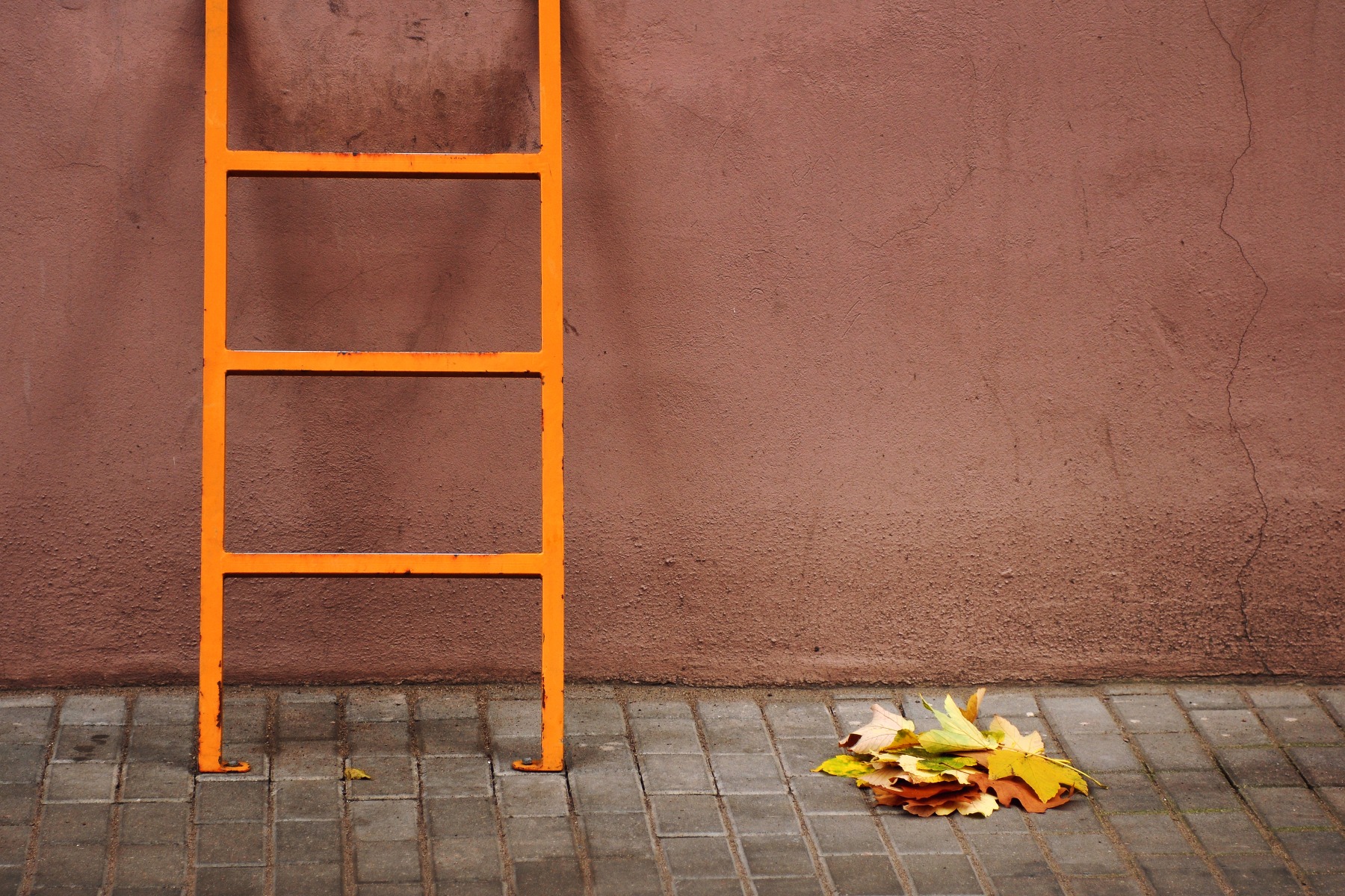 Осень делает всё желтым | Фотограф Александр Кузнецов | foto.by фото.бай