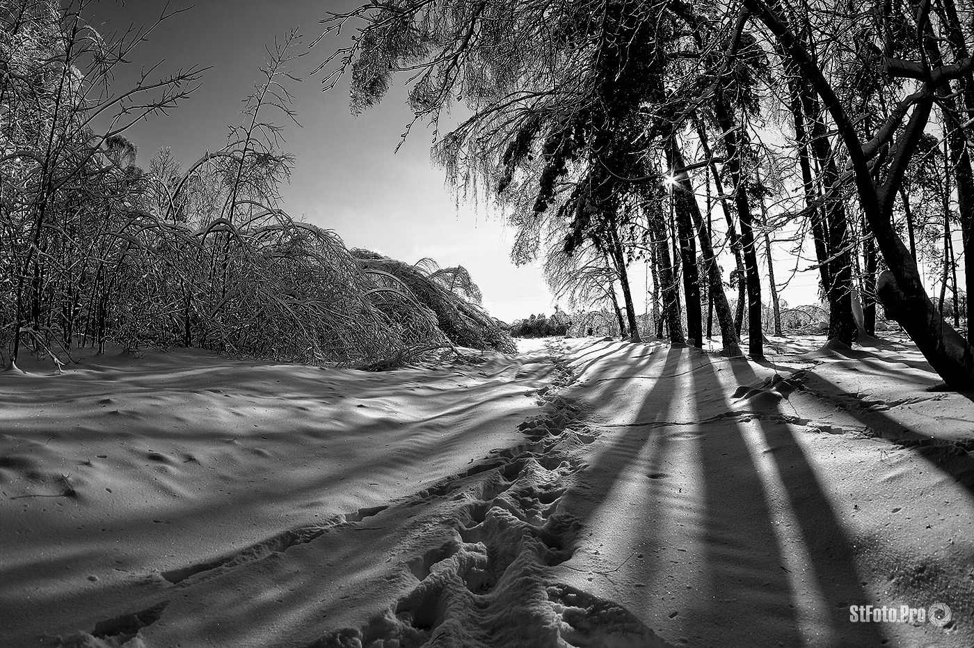 Просто зима | Фотограф Стас Аврамчик | foto.by фото.бай