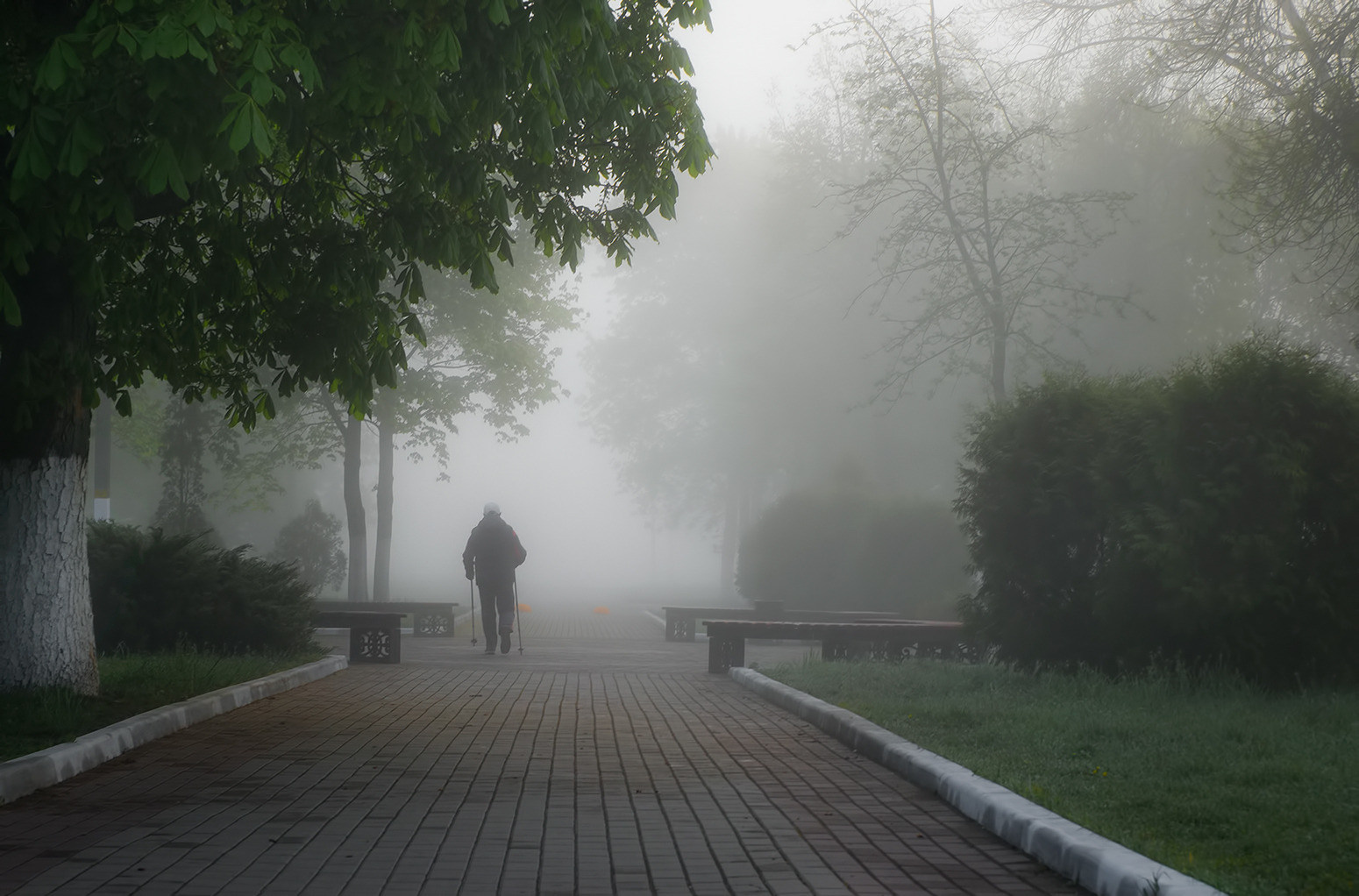 Уходящие в туман | Фотограф Александр Шатохин | foto.by фото.бай