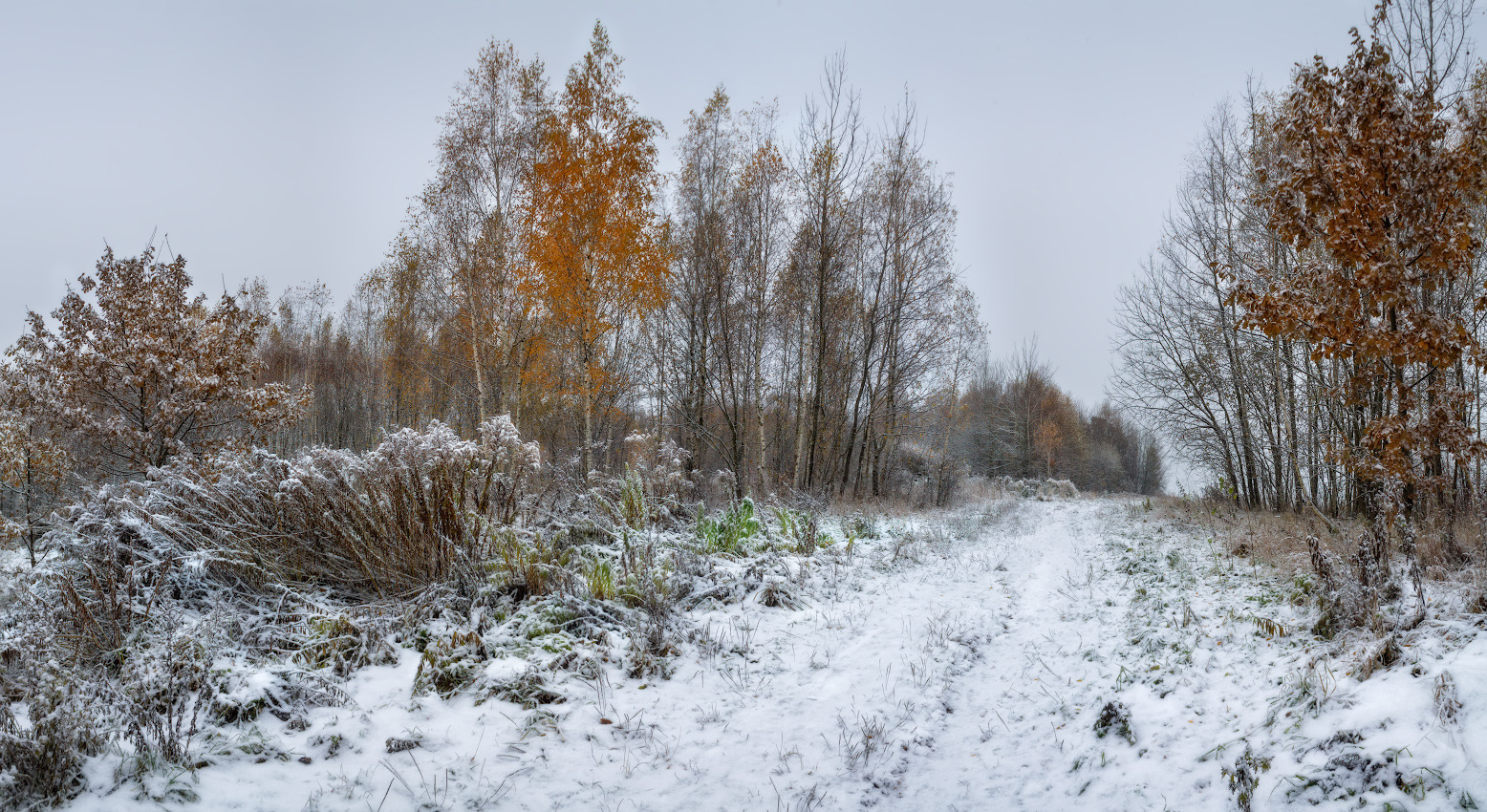 Ноябрьский снежок | Фотограф Сергей Шабуневич | foto.by фото.бай