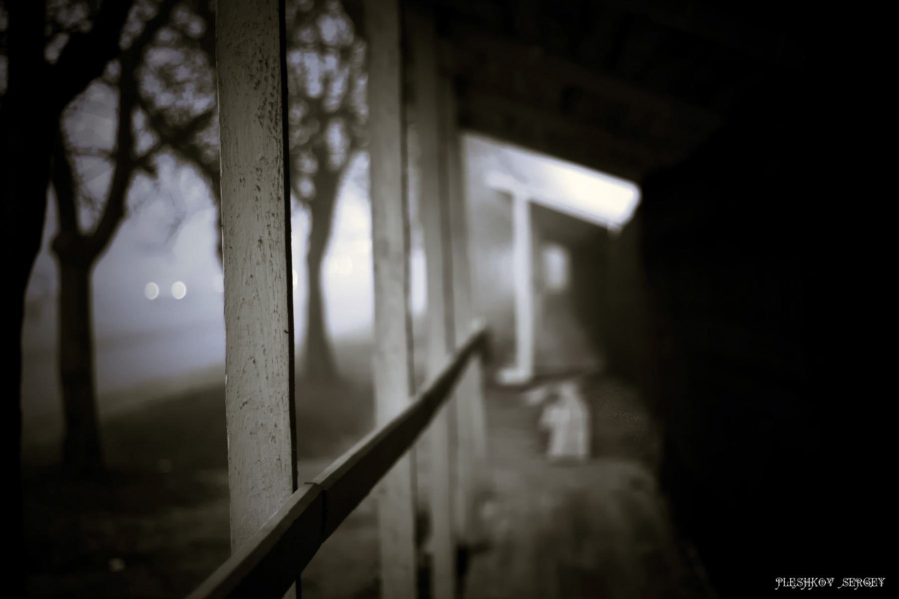 слепая дорога к свету | Фотограф Sergey Pleshkov | foto.by фото.бай
