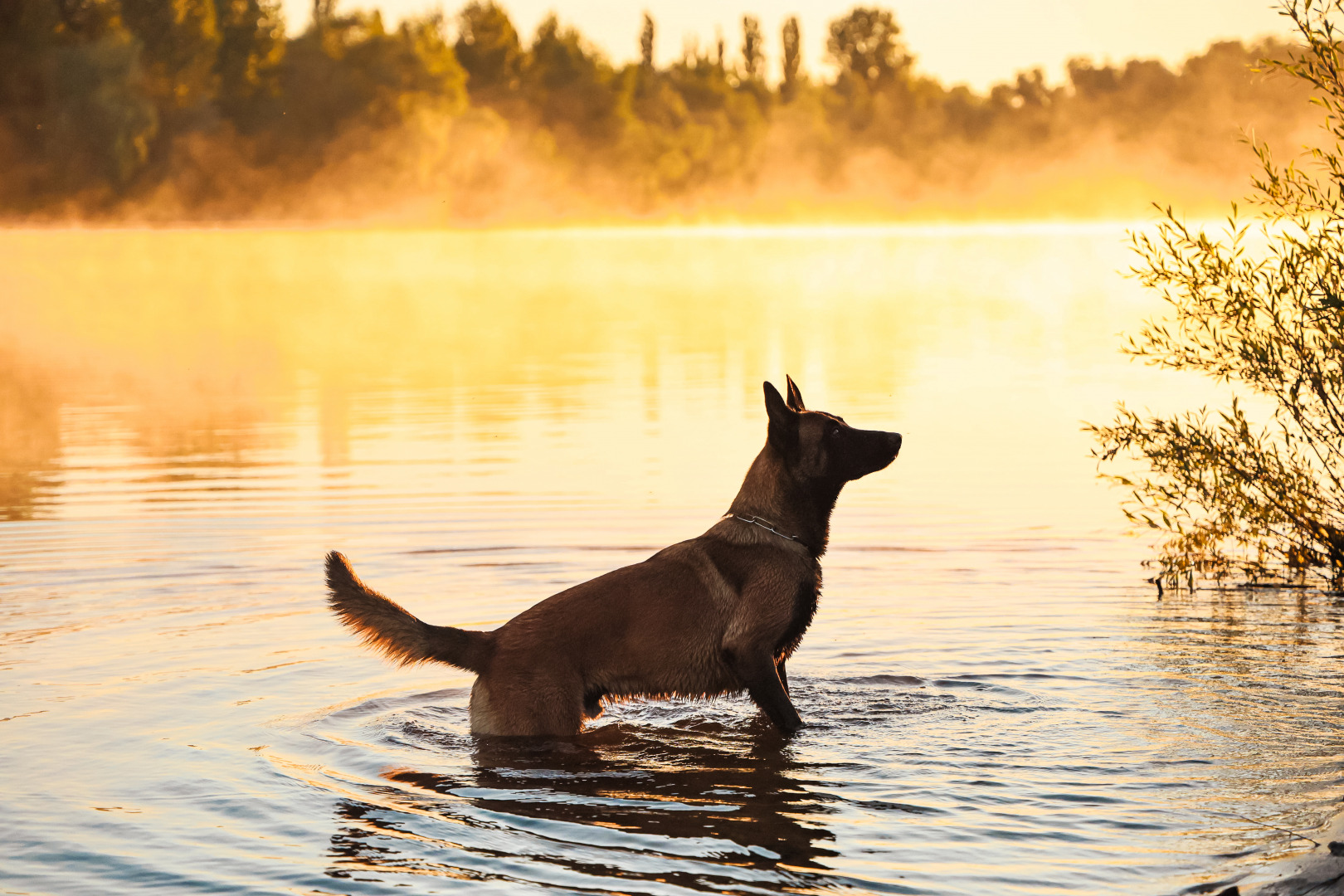 Фотограф Ульяна Третьякович, фотография от 08.10.2025