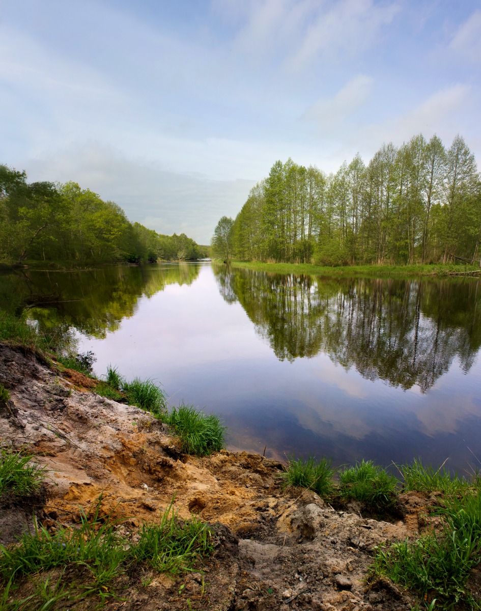 Река Друть | Фотограф Антон Толкачев | foto.by фото.бай