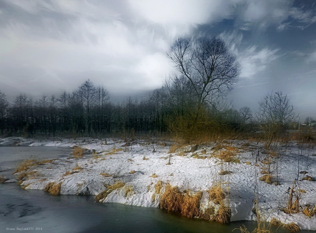 В начале зимы | Фотограф Диана Буглак-Диковицкая | foto.by фото.бай